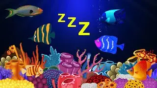 Sleep Instantly Within 3 Minutes ♥ Mozart Brahms Lullaby ♫ Lullaby for Babies to Go to Sleep #364