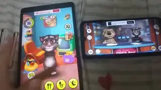 My Talking Tom & Talking News Echo 1218