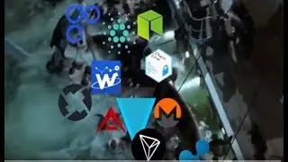 Davor Coin Scam Finished. Investors Left Destitute. Exit Scam In Process.
