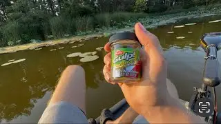 Best Way to Catch Bluegill with Gulp Minnows