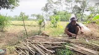 Traditional Bamboo Splitting with Sharp Blade #RuralAgriculture #TraditionalFarming