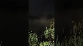 Весенний туман#весна #ночь #пруд#spring fog#spring#pond#night