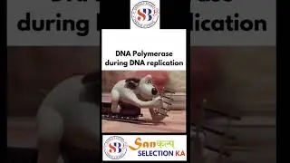 DNA Polymerase | Sankalp Bharat