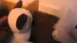 Webkinz Back To School