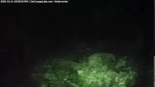 Welcome to On Cayuga Lake - Underwater! - 12/10/2025