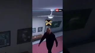Every IQ Main
