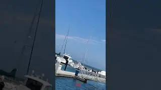 shorts-ca view 11 , ST. Francis Yacht Club