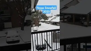 Texas Snowfall 2025 ❄️😍 #shorts #snow #viral #Texas #usa #youtubeshorts #winter #fyp #yt