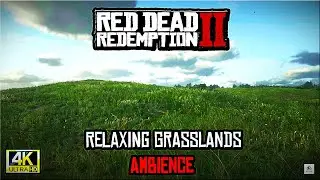 Red Dead Redemption 2 Relaxing Grasslands Walk Ambience | Peaceful Open Plains Atmosphere 🌿🐴