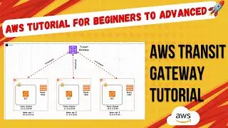 AWS Transit Gateway Demo 🔥 | Connect Multiple VPCs Step-by-Step