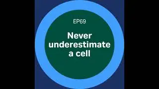 Discovery Matters | Ep69. Never underestimate a cell