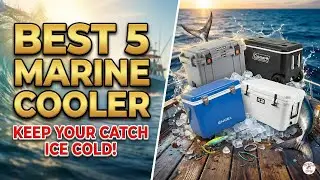 Top 5 Best Marine Coolers 2026 🧊 Best Cooler for Fishing & Boating (Reviewed!)