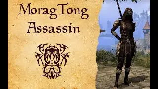 ESO - Stamina Nightblade RP PVE Build - Morag Tong Assassin