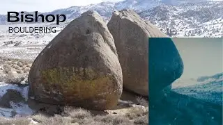 bishop