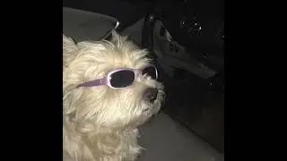 FLEET [4:44 Christian Remix]