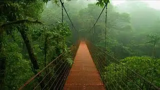 Nature Tamil songs with rain background | மழையுடன் இயற்கை தமிழ் பாடல்கள் | Long drive Tamil songs