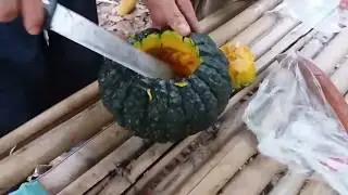 105 arroz na fogueira