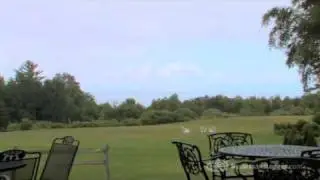 The Inn At Stone Cliffe, Mackinac Island, Michigan - Hotel Reviews