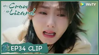 【Miss Crow with Mr. Lizard】EP34 Clip | Gu Chuan's life began to count down?! | 乌鸦小姐与蜥蜴先生 | ENG SUB