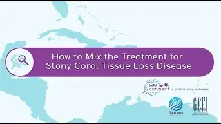 How to Mix the Treatment for Stony Coral Tissue Loss Disease (Treatment Mixture Part 1)
