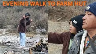 Evening Walk To Farm Hut ll शाम का वॉक खेत तक 