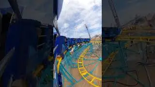 Shark Escape at Jenkinsons Boardwalk