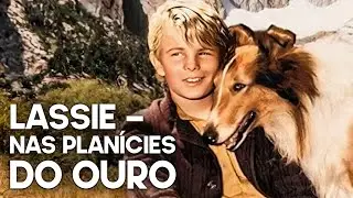 Lassie - Nas Planícies do Ouro | Filme Dramático Clássico | Português | Família