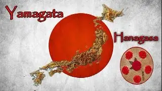Yamagata - Hanagasa (Tohoku)