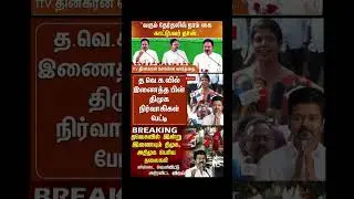 TVK Thalapathy Vijay anna | #tvk #dmk #admk #congress #bjp #news