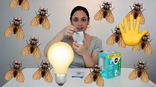 STEM Light Trap Review | Chemical-Free Insect Control for Kitchens, Bathrooms & More