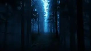 Blue Air, Empty Ground &bull; Cold Forest Ambience #cinematicdark #dreamylandscapes #relaxingmusic
