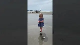 Higginsbeach