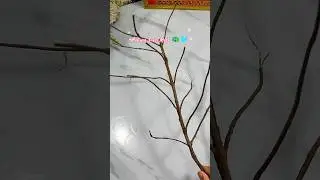 DIY Tulsi Mala 🦚✨|| Upcycle Dry Tulsi #diy #tulsi #krishna #janmashtami #shorts