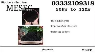 Green Energy solutions  by Biomass gasification power generation plants 