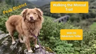 Walking the Monsal Trail in the Peak District, from Bakewell to Cheedale - fascinating walk!