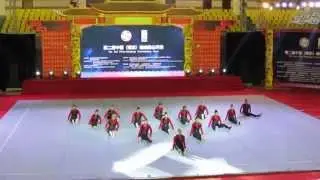 UNLV Rebel Girls | 2014 China Open Hip Hop Routine