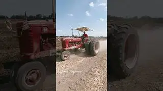 IH FARMALL M Tractor Plowing #bigtractorpower #internationalharvester #farmall #tractor #automobile