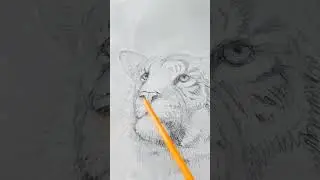 Tiger Sketch #arttutorial #art #tiger #drawingtutorial #bigcat #tigerart