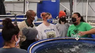 Fish Reproduction Lab