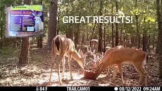 TREELINE WILD BERRY CRAZE MINERAL BLOCK REVIEW! #whitetaildeer #mineralblock