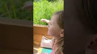 Boat trip at the zoo