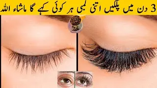 Palkein Lambi Karne Ka Asaan Nuskha | Eyelashes Growth Home Remedy