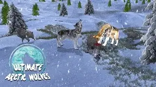 Ultimate Arctic Wolf Simulator