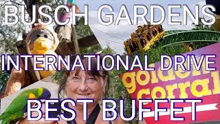 BUSCH GARDENS / BEST VALUE BUFFET ON INTERNATIONAL DRIVE