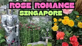 (SG60) Rose Romance at Gardens By The Bay | Don't Miss the ROSES at Gardens by the Bay! 🌸✨
