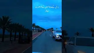 Beauty of Cholistan Desert after rain | Rahim Yar Khan Desert | Sehra