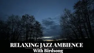 Jazz Ambience with Birdsong | Stormy Evening Nature Soundscape