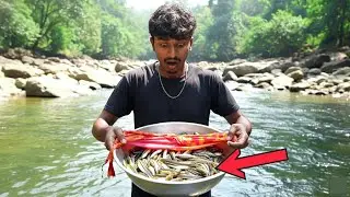 Plate Fishing Technique: Shocking Results! 😱Jungle River 2026 