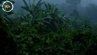 🌧 Som de Chuva no Sótão de Madeira: O Lugar Mais Aconchegante para Dormir 44