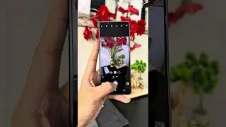 Sony quốc d&acirc;n - Xperia 1 mark 2 #thanhdatmobile